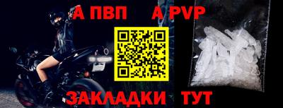 стафф Донской