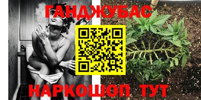 стафф Донской