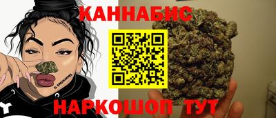 стафф Донской