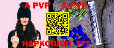стафф Донской