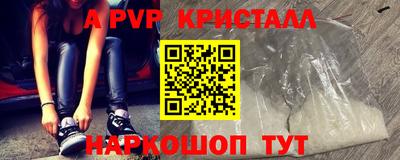 стафф Донской