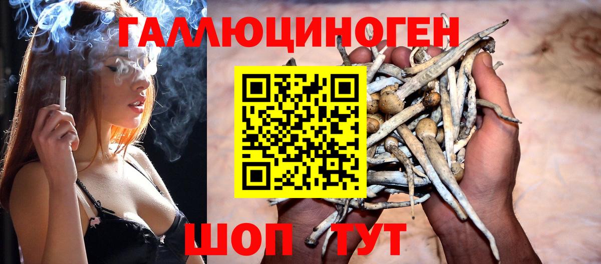 Псилоцибиновые грибы ЛСД Междуреченск